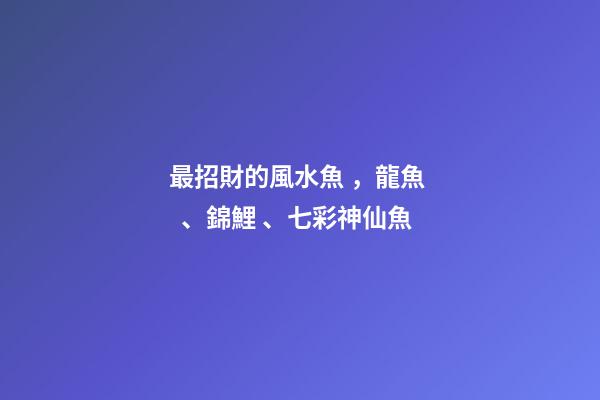 最招財的風水魚，龍魚、錦鯉、七彩神仙魚